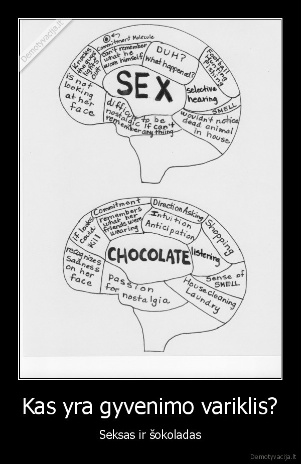 seksas, gyvenimas, sokoladas