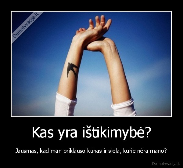 istikimybe,jausmas,kunas,siela