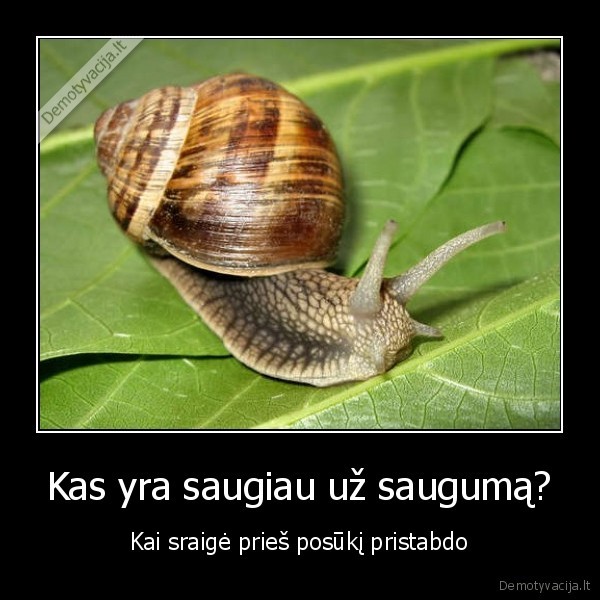 Kas yra saugiau už saugumą?