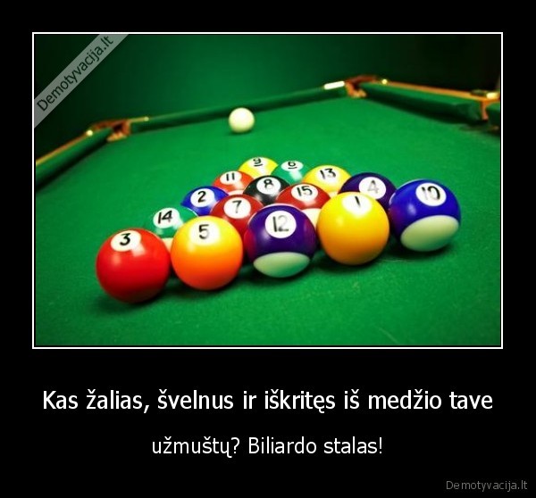 biliardo, stalas,pulas