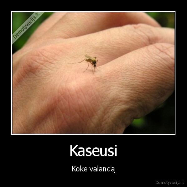 uodas,uodai,nervina, gaidziai