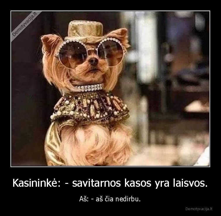 Kasininkė: - savitarnos kasos yra laisvos.