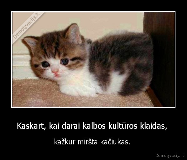 kalbek, ir, rasyk, taisyklingai