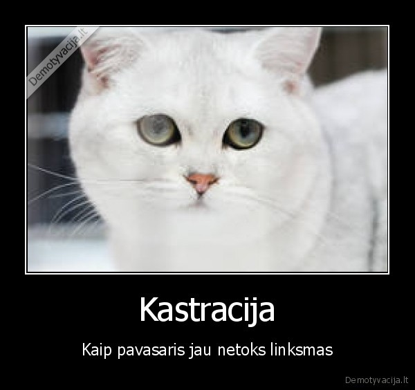 Kastracija
