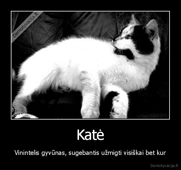 kates