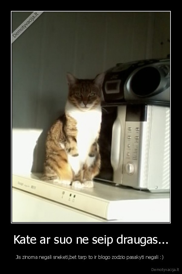 Kate ar suo ne seip draugas...