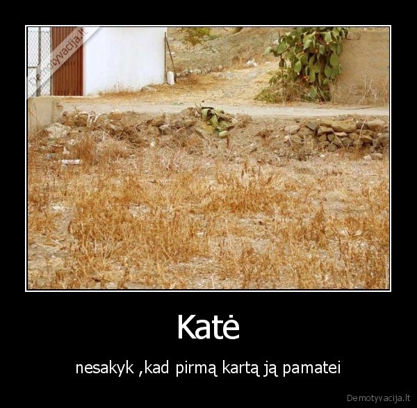 Katė
