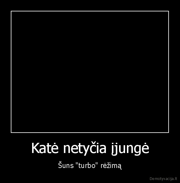 kate, ir, suo