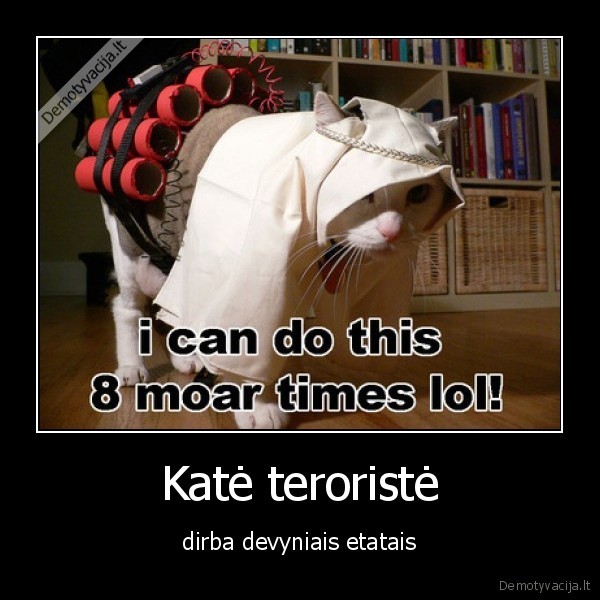 Katė teroristė
