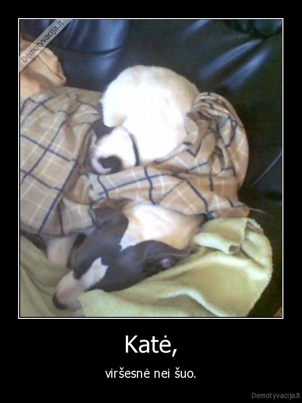 Katė,