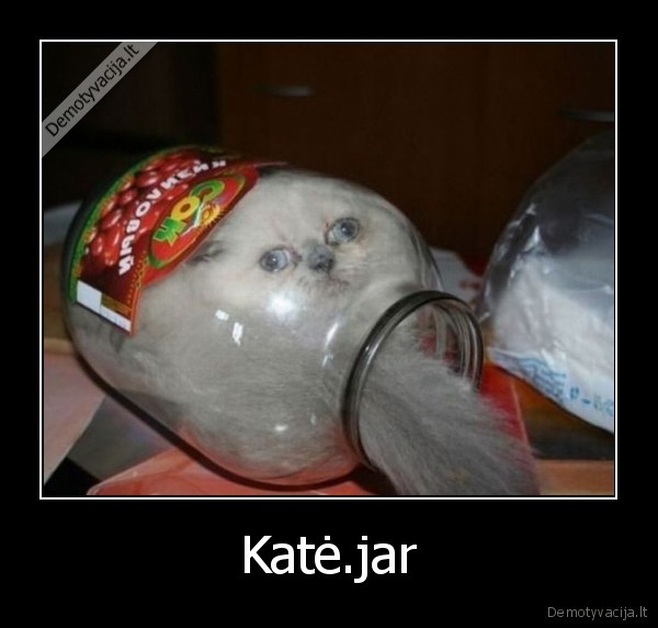 Katė.jar