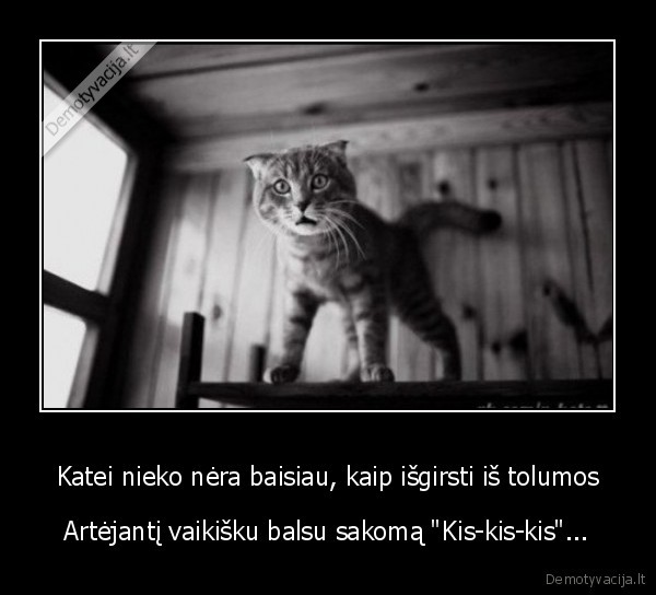 issigandusi, kate,vargse, kate