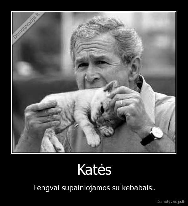 kates,kebabai
