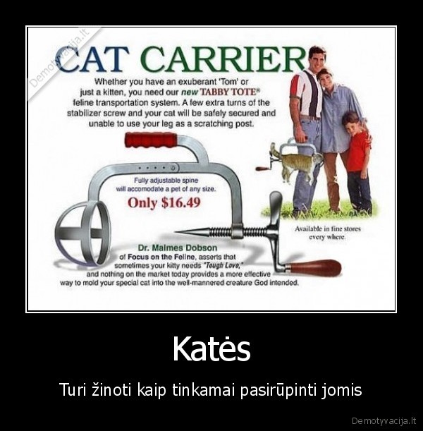 kates,kaciu, laikiklis,antsnukis, su, laikikliu