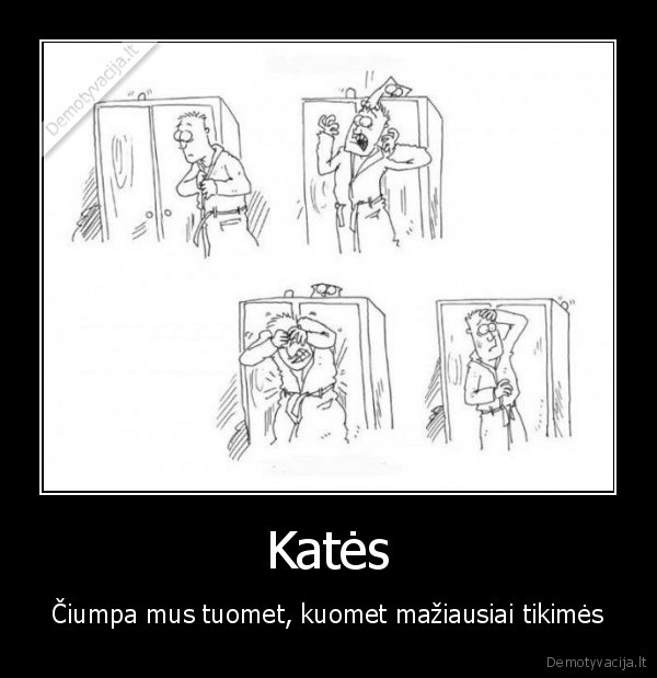Katės