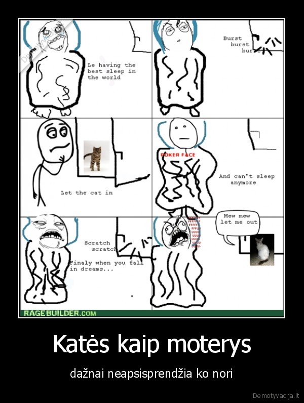 kates, ir, moterys, panasus, dalykai