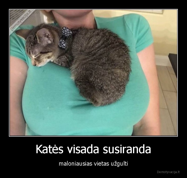 kate,katinas,kaciukas,krutine,mergina