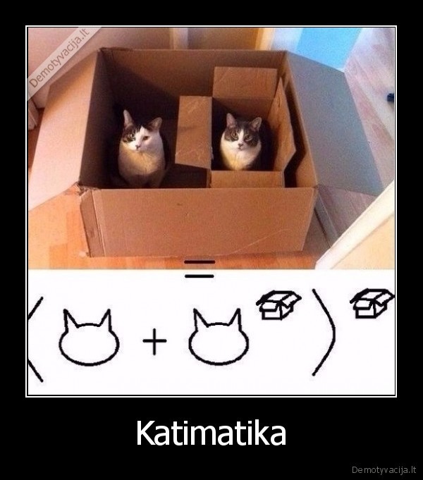 matematika,katinai