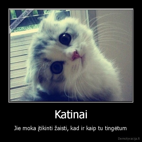 katinai,mieli,uzknisa