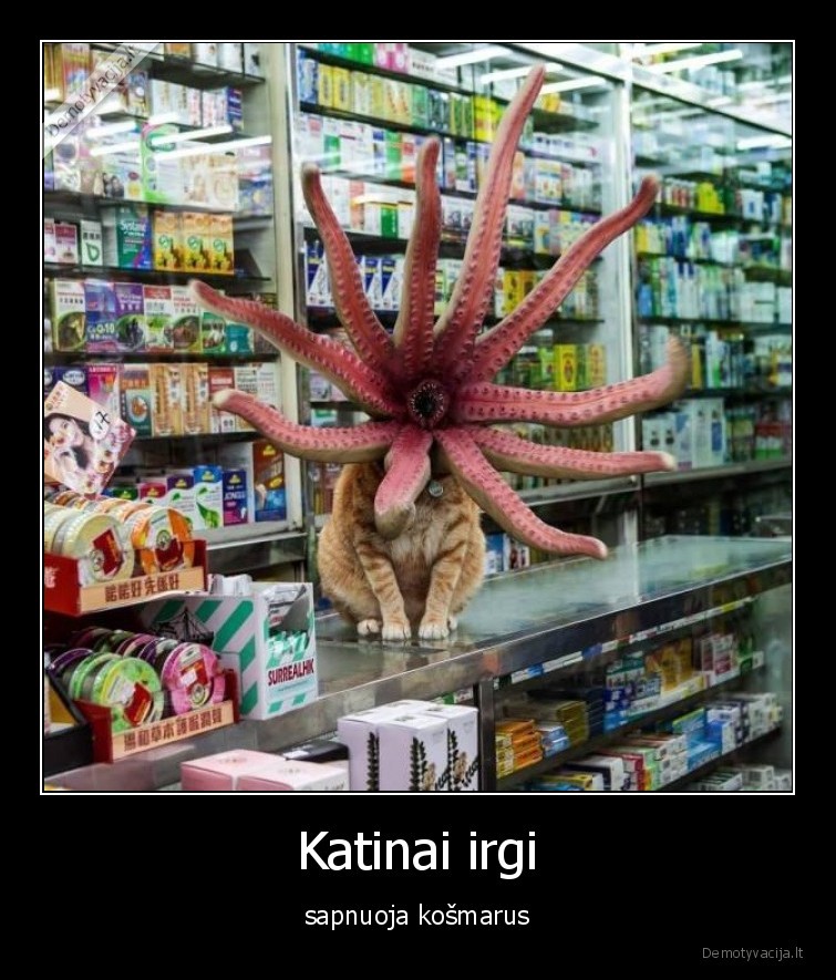 katinas,kosmaras,baisu