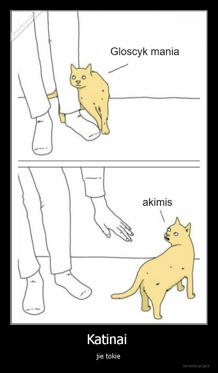 katinas,glostyk,akimis