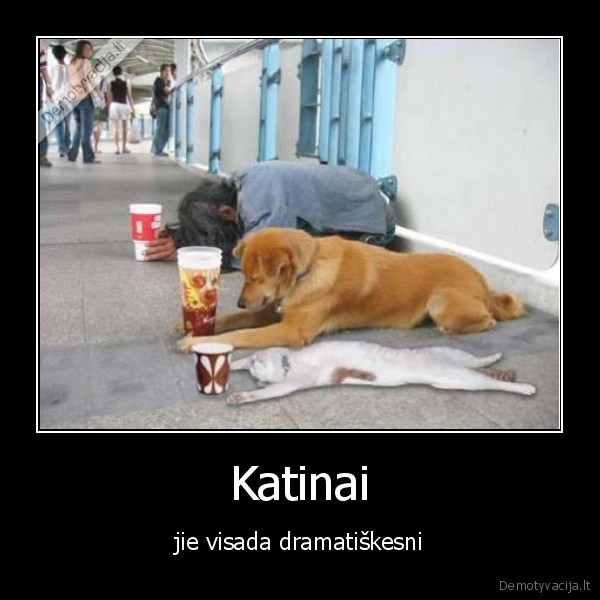 valkata,suo,katinas,praso, ismaldos