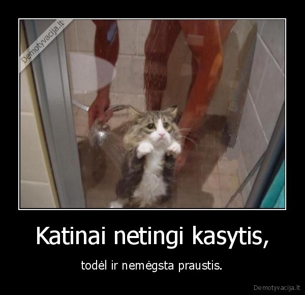 prausiasi, tik, tie, kuri, tingi, kasytis