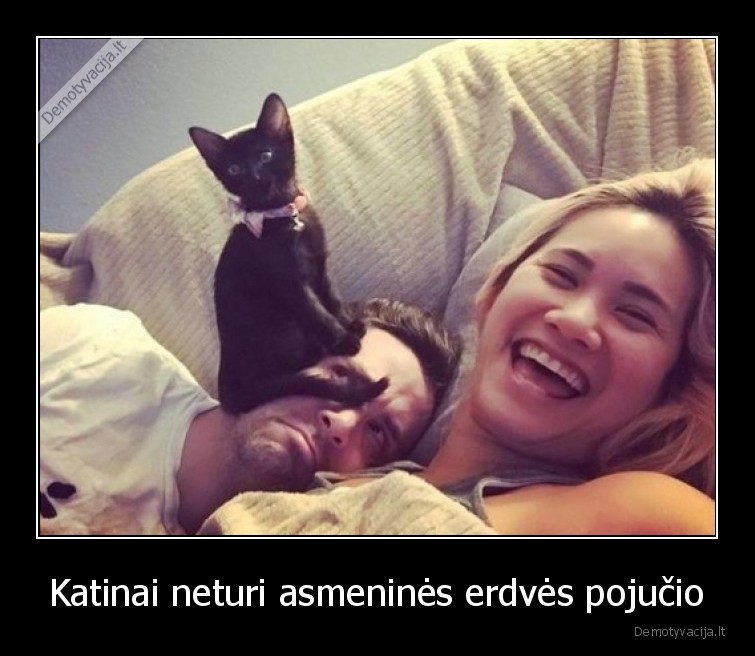 katinai,asmenine,erdve,ne, mums
