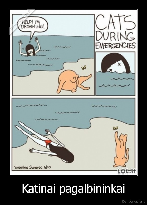 Katinai pagalbininkai