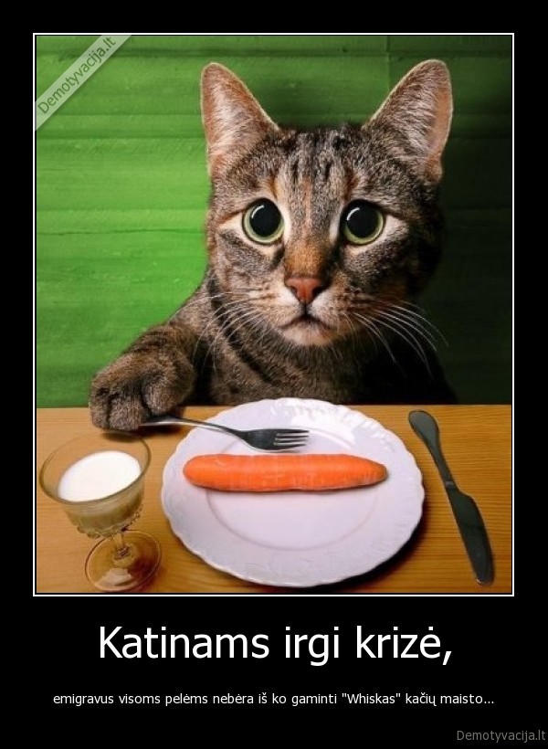 seimas, seima, meile, vertybes, pramogos, juokas, prikolai