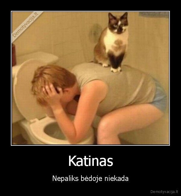 katins,katinas,kate,kubilas