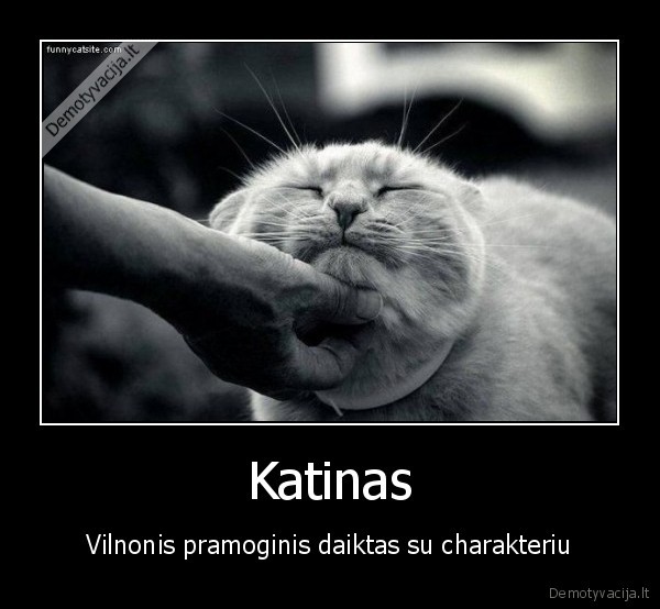 Katinas
