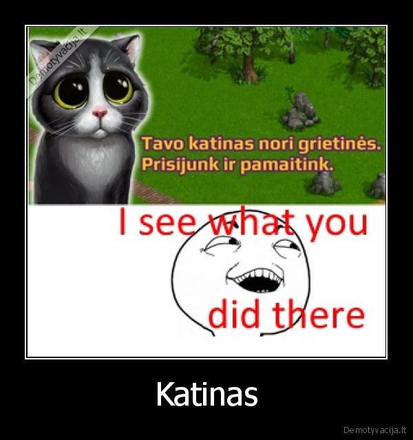katinas