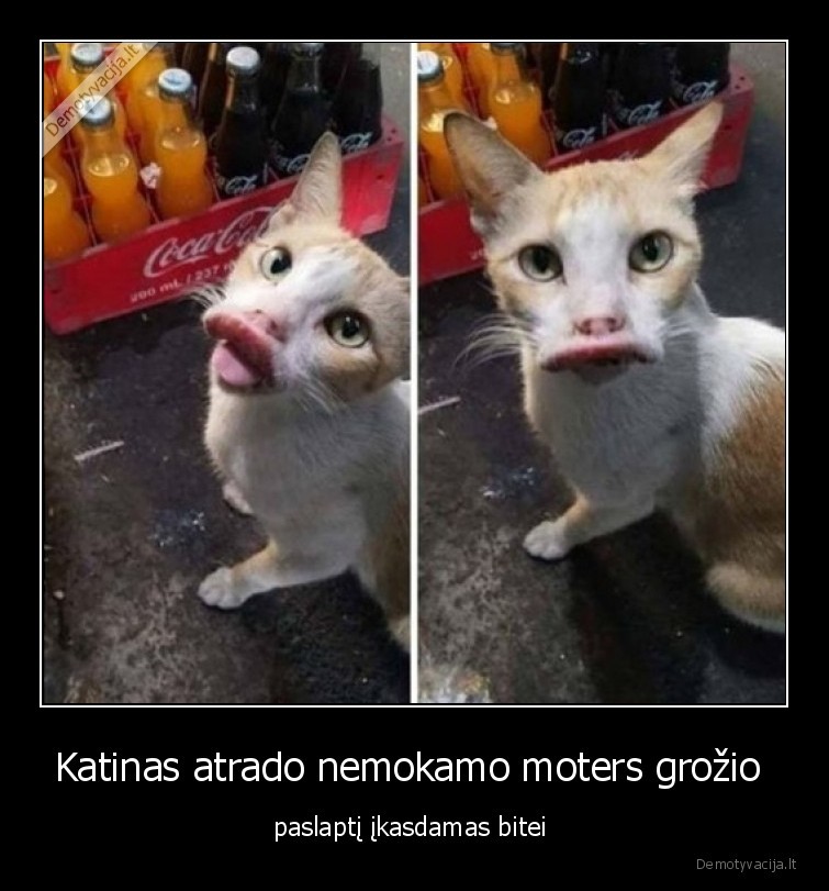 paslaptis,lupos,botoksas,katinas