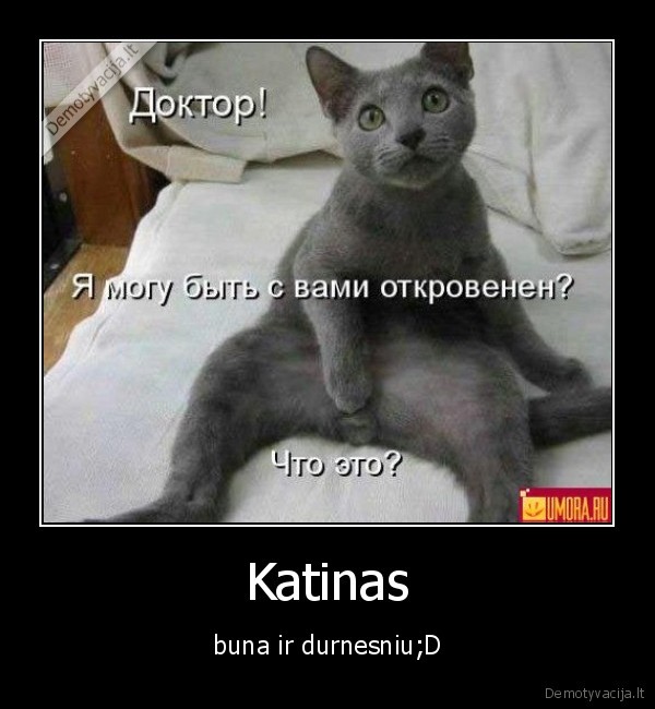Katinas