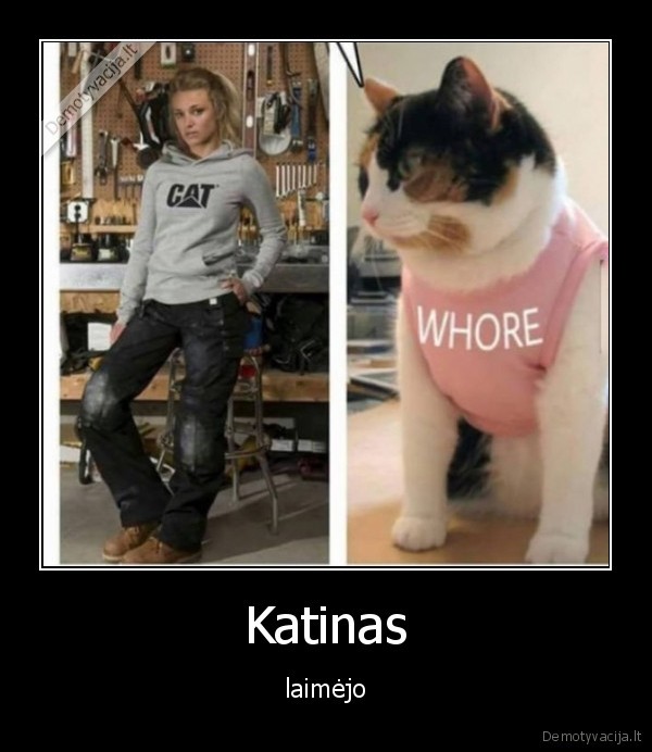 katinas,marskineliai,uzrasas