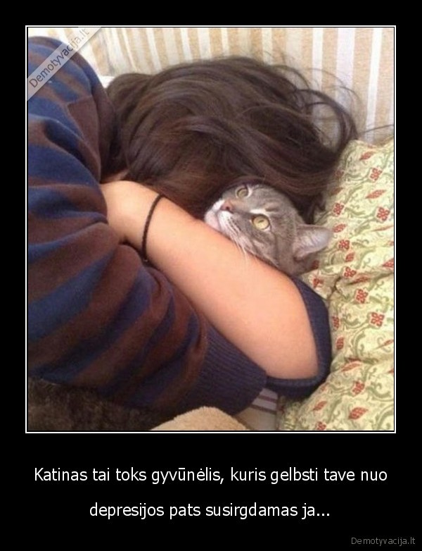 katinas