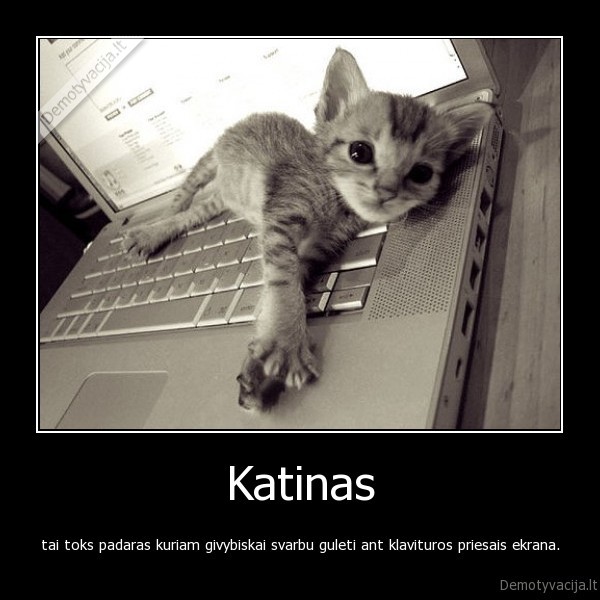 katina,pc,internetas,kompiuteris,klaviatura,ekranas
