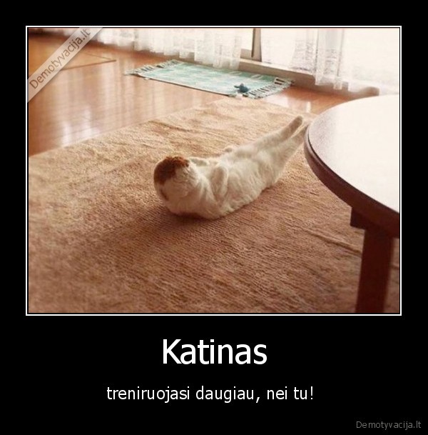 Katinas