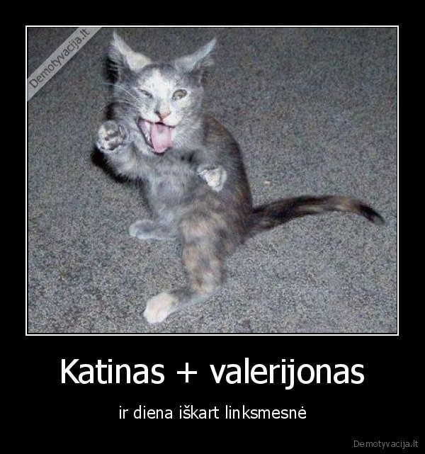 Katinas + valerijonas