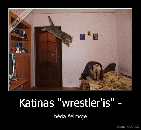 katinas,wrestling