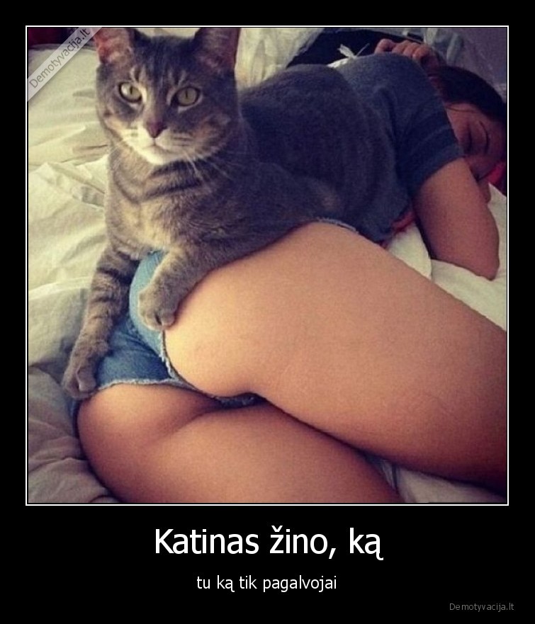 katinas,uzpakalis,geras