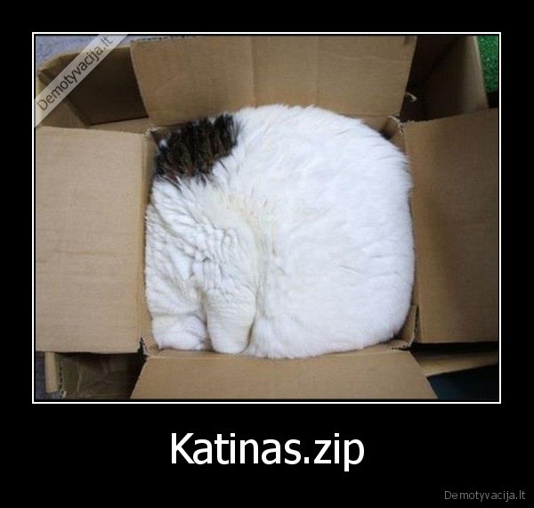 Katinas.zip