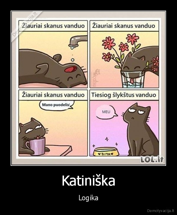 katinas,vanduo