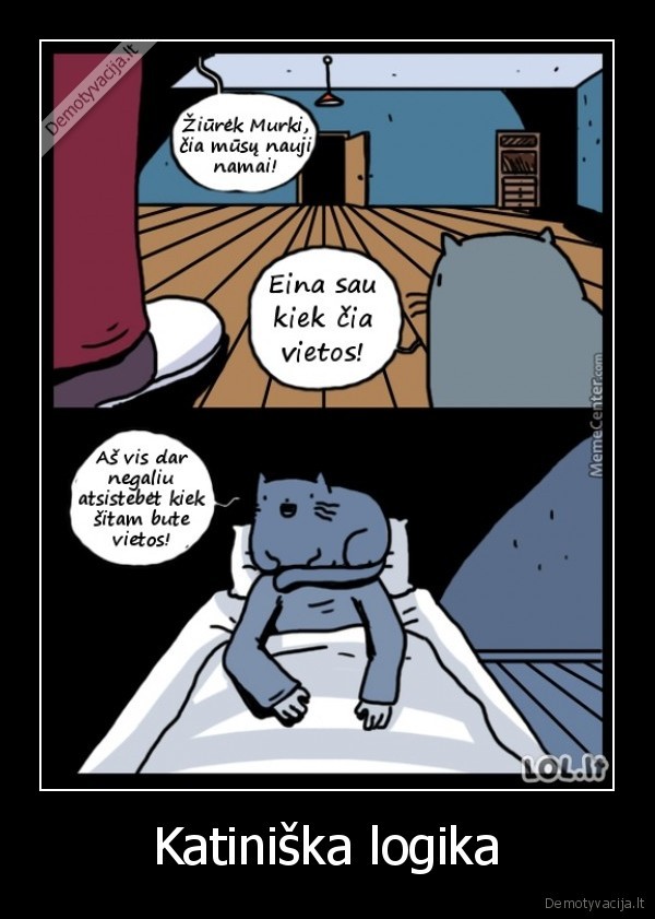 juokingas, katinas,linksmas, katinas