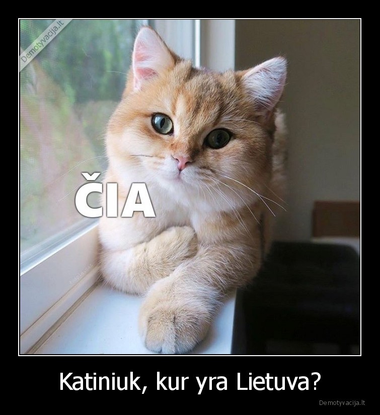 lietuva, sirdyje,meile, lietuvai