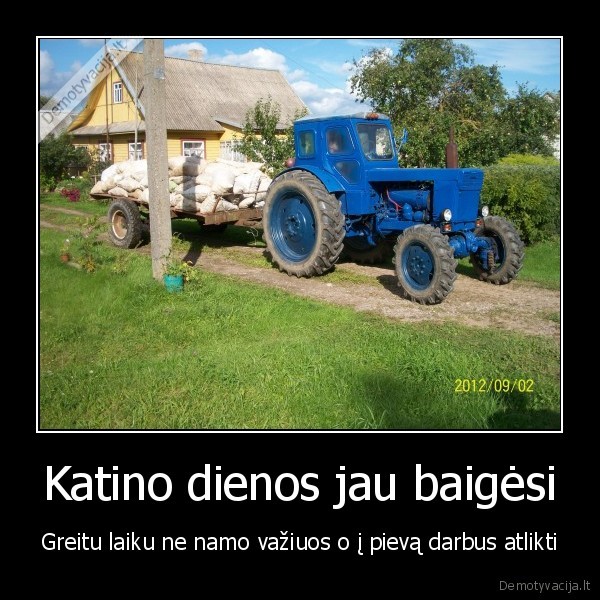 Katino dienos jau baigėsi