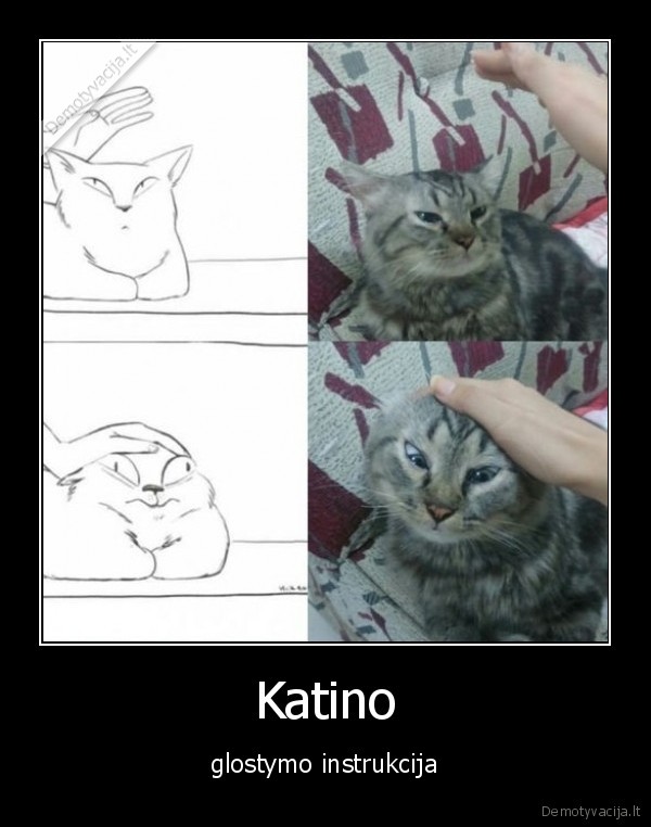 katinas,glostyti,instrukcija
