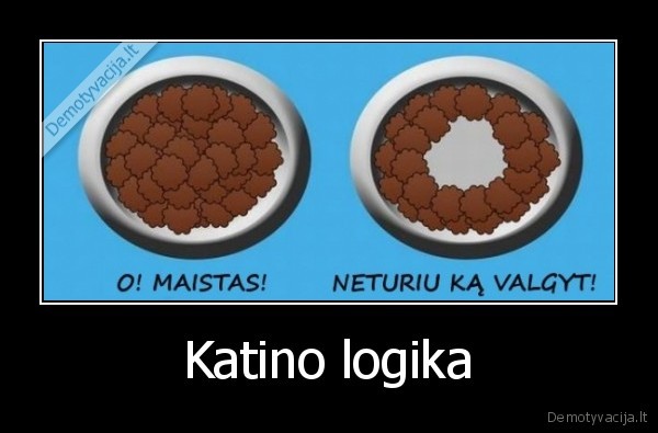 kaciu, maistas,katino, maistas,logika