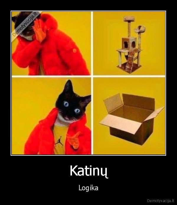 kates,deze,draskykle